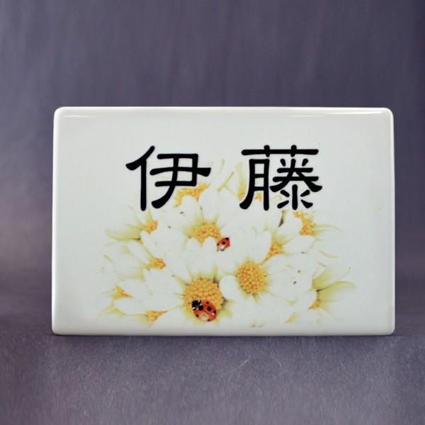 \D   ԕ Vv ˌ 和 v[g \邾ȒP 15x10cm