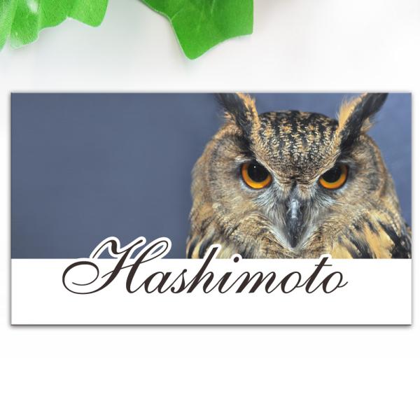 \D  ˌ D  Z~bN^C y Rmm \邾ȒP  TCYJbg 12070mm