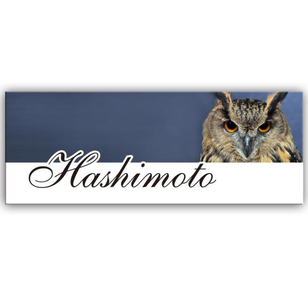 \D }V ˌ  ^C G11 ^^CRmm TCYJbg 145X55mm