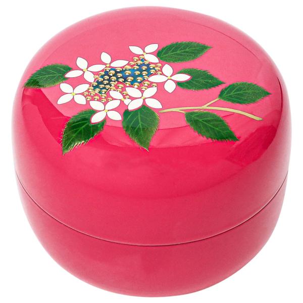 y~jفE ؐz㎽E_ Cocoro@zԁiAWTCjOF