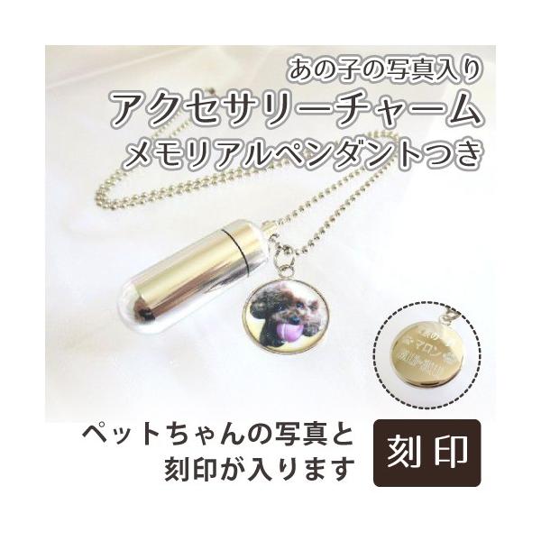ペットちゃんのご遺骨、遺毛、歯、爪などを納める遺骨ペンダントに、ご遺影・お位牌アクセサリーチャームがセットになりました。◎表面にあの子のお写真とお名前が入ります。●本体本体サイズ：タテ約4センチ×ヨコ約1.5センチ（重さ：8グラム）穴・内径...