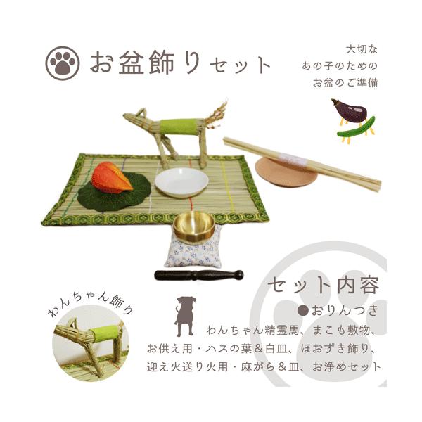  ~ ~Zbg 񂿂񐸗n ߃Zbg   