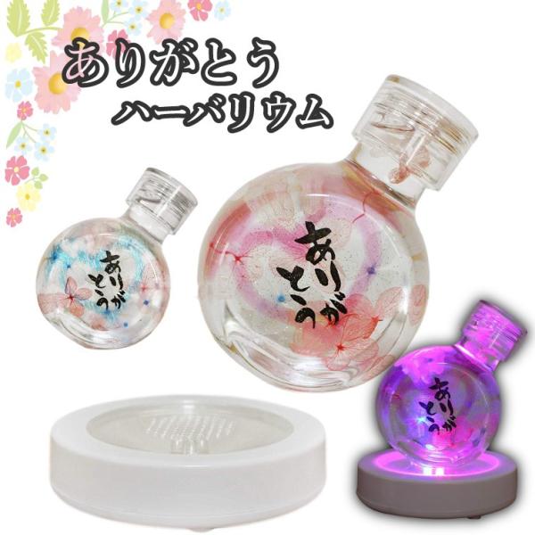  n[oE  {g u肪ƂvbZ[W r LED R[X^[t r