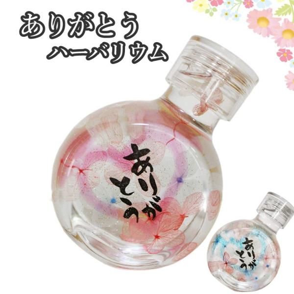 n[oE  {g u肪ƂvbZ[W r r Mtgv[g  uU[ht[