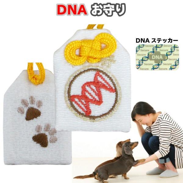 ●本体サイズサイズ（約）：横約3.3cm×縦約4.8cm紐の長さ:約20cm大切なあの子の「DNA」を抽出いたします。はじめにDNA採取キットをお送りいたします。DNA解析後、証明書および、DNAを貼付したお守りをお届けいたします。納期につ...