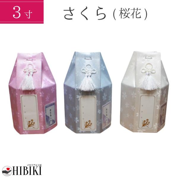  كJo[ p  3  Zp  Eʐ^V[t