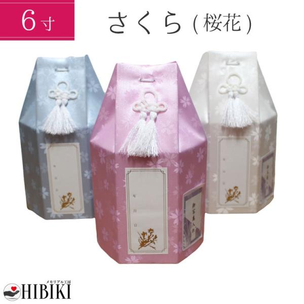  كJo[ p  6  Zp  Eʐ^V[t