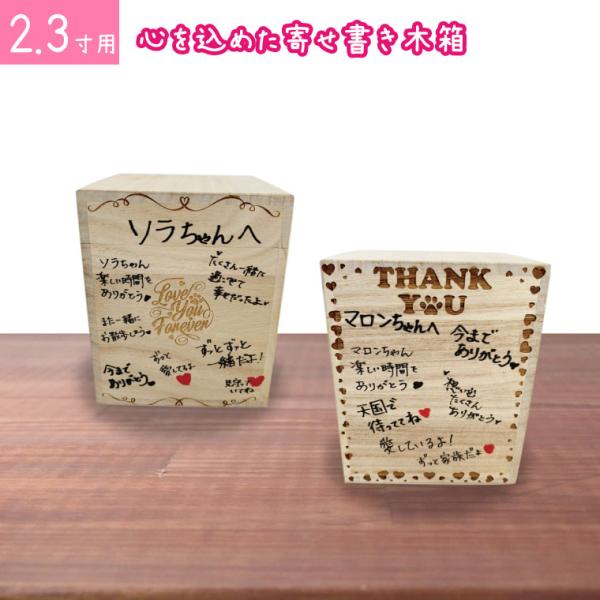 ybg ː ؔ gݖ 񂹏ł鍜 2.3p 킢  ybg{ ^ ^ L ϔ