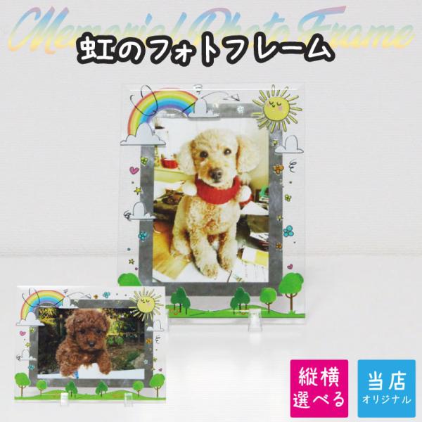 ybg AtHgt[ L C{[  fUC IWi ʐ^ KX ~[ 킢  L LOi Mtg 蕨