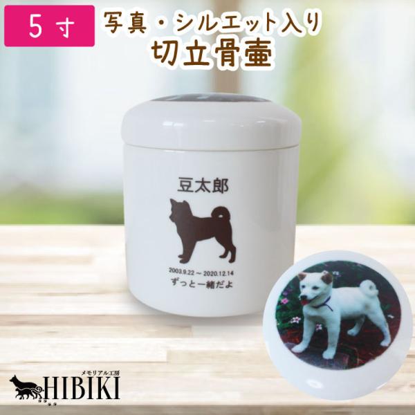 ybg ؗ 5 zCg tJ[ ̎q̎ʐ^vg VGbg  p ~j ybgp