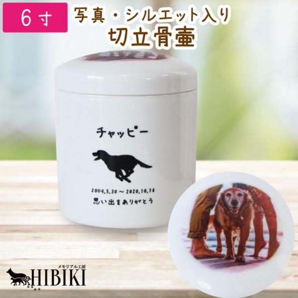 ybg ؗ 6 zCg tJ[ ̎q̎ʐ^vg VGbg  p ~j ybgp