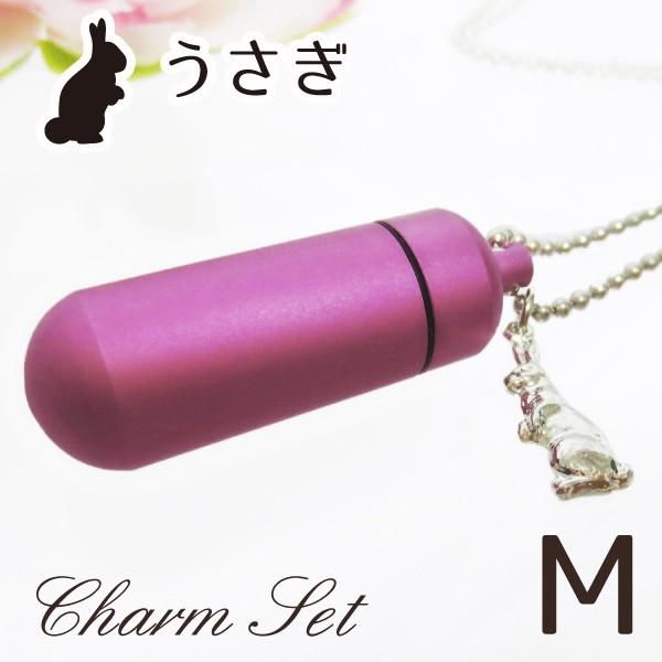 大切な故人様やペットちゃんの遺骨・遺髪・遺毛・爪・歯など納める遺骨カプセル、遺骨ペンダント（遺骨カプセル）です。中型の遺骨カプセルに、かわいらしいワンポイントとしてウサギ型チャームが付属して登場です。普段からお守り代わりとして身につけること...