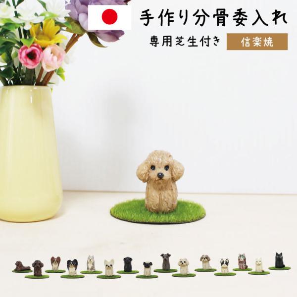 ~j ⍜P[X ̎q̈⍜ My Y Â { Ă 