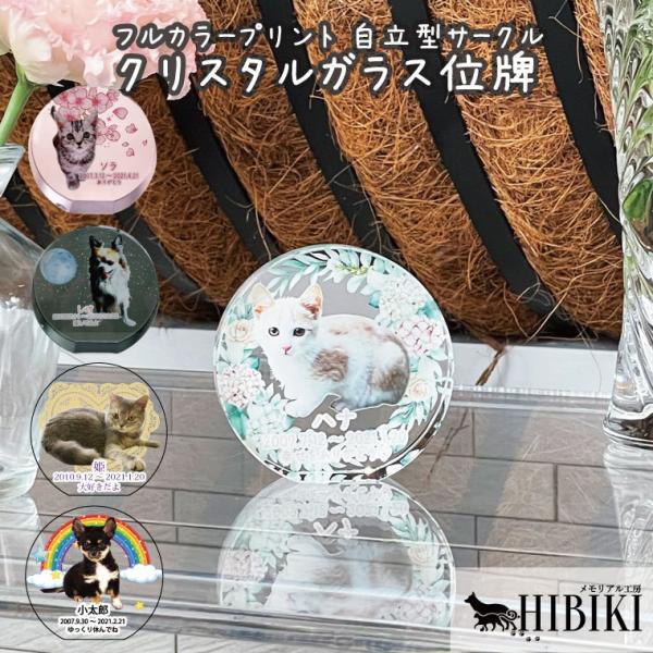 ybgʔv NX^ʔv T[NX^h ^ tJ[ ̂ЂTCY 킢