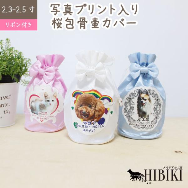 ybg vg كJo[ 2.3-2.5 ʐ^ IWi  {t ybg{  Jo[ 