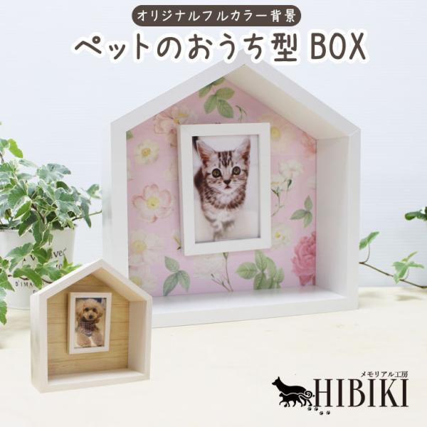 ybgd AtHgt[ ybĝ^ nEXBOX tJ[vg