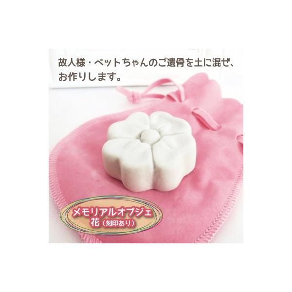  AIuWF  (󂠂) ⍜c  В