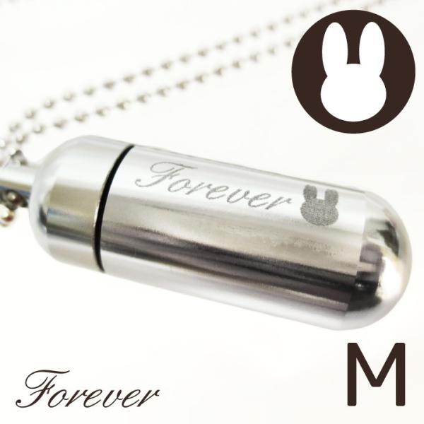 ⍜y_g Ay_g () VGbg ܁{z_[tbN