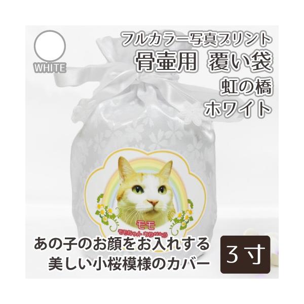  ٗp  (ّ) ܂̂ 3(11cm) tJ[ vg ̂ zCg