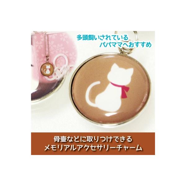  كJo[p ANZT[`[ v[g L JuE Xgbv