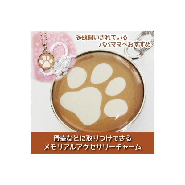  كJo[p ANZT[`[ v[g  JuE Xgbv