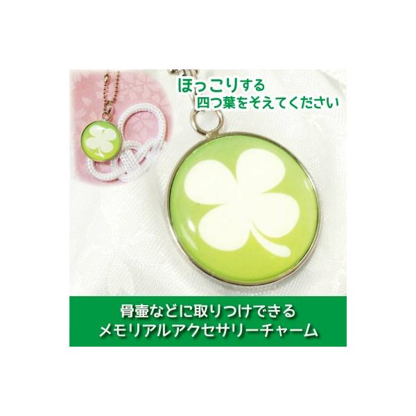  كJo[p ANZT[`[ v[g N[o[ O[ Xgbv