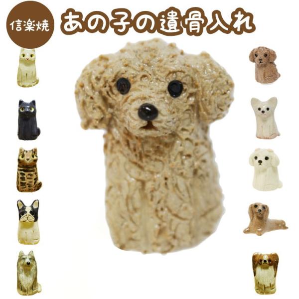 ~j ⍜P[X ̎q̈⍜yMyāzY Â { Ă 