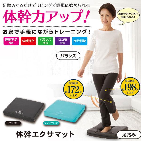 体幹エクサマット お家 トレーニング エクササイズ 筋肉 筋トレ 足踏みするだけ バランス スクワット ステップ 腹筋 プランク Mr 3005 Mr 3005 メンズレスキューyahoo 店 通販 Yahoo ショッピング