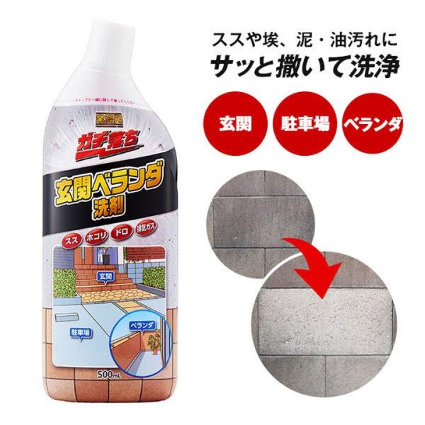 業務用ガチ落ち玄関ベランダ洗剤 業務用洗剤 屋外用洗剤 泥汚れ洗浄 排気ガス タイル コンクリート クリーナー プロ仕様 頑固な汚れ 外壁洗剤