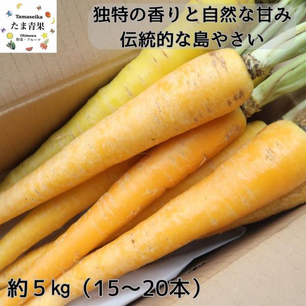 沖縄在来種の島人参は方言でチデークニとも呼ばれている伝統野菜です。島人参はカロテンが豊富で沖縄では薬膳料理としても利用されています。■商品の魅力■・伝統的な島やさい(命の薬/ぬちぐすい)・香りが強くまろやかな甘み・βカロテンビタミンCなど栄...