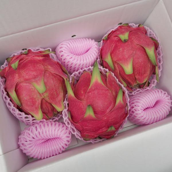 クール便】沖縄県産 ドラゴンフルーツ 赤玉 10キロ クール便】沖縄県産