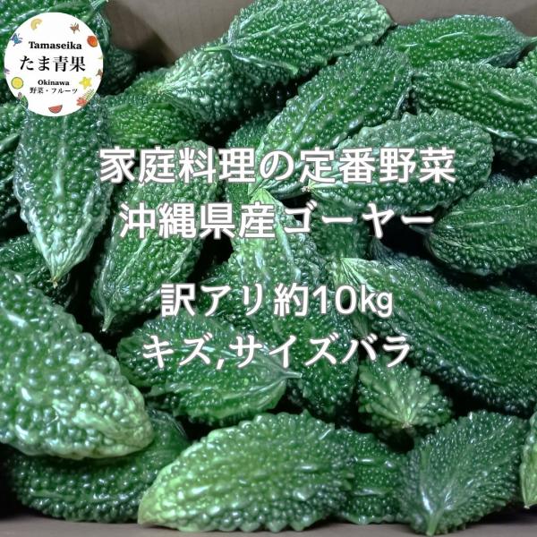 沖縄県産訳ありゴーヤー（傷、擦れ、サイズばらつきあり）定番中の定番沖縄料理と言えば「ゴーヤーチャンプルー」というほど、沖縄県民はもとより県外の人にとってもポピュラーな料理に欠かすことのできない食材が「ゴーヤー」。ゴーヤーにはコラーゲンの生成...