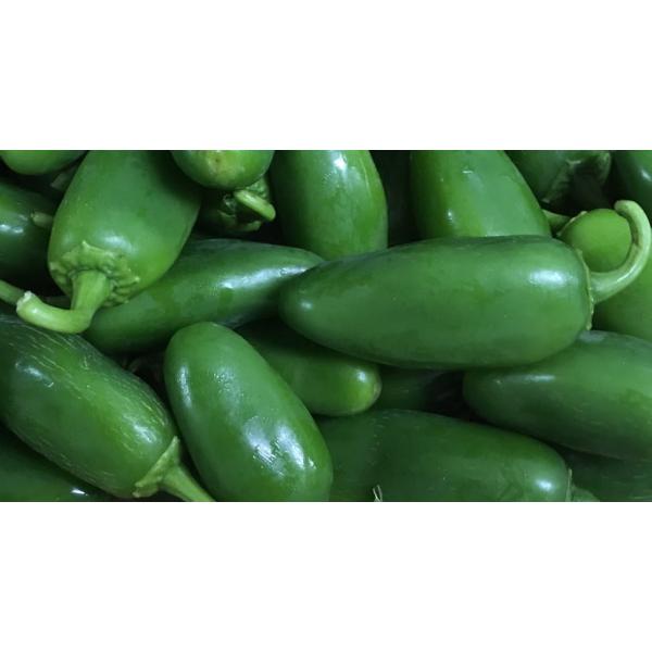 ハラペーニョ 1ｋｇ 発送９月末 １０月 沖縄県産青唐辛子カプサイシンたっぷり メキシコの代表的食材マイルドな辛さ Buyee 日本代购平台 产品购物网站大全 Buyee一站式代购 Bot Online