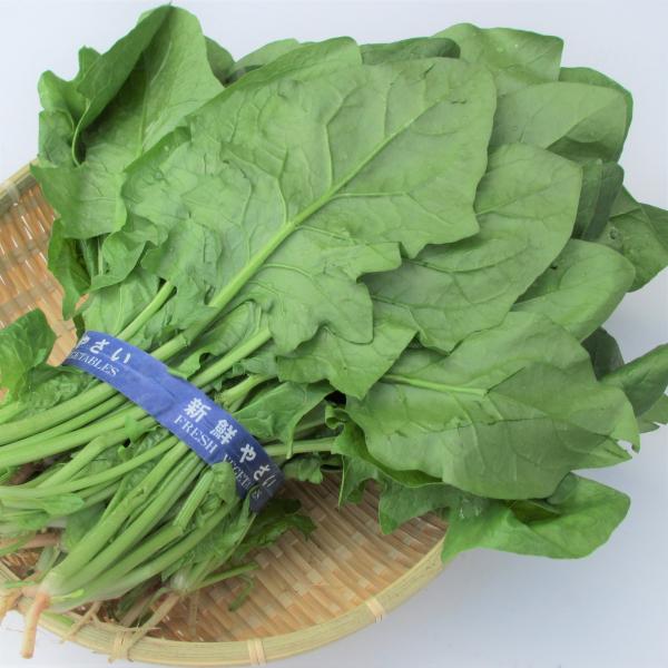 【保存方法】濡らした新聞紙でほうれん草を包み、ビニール袋に入れて、冷蔵庫で 保存。 ３〜４日は持ちます。 このとき、茎を下にして立てて保存すると、長持ちすると いわれています。