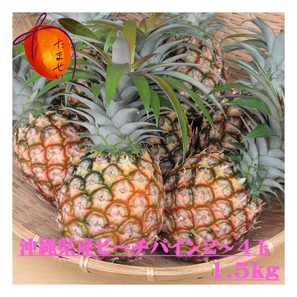 沖縄県産 パイナップル - フルーツの人気商品・通販・価格比較 - 価格.com