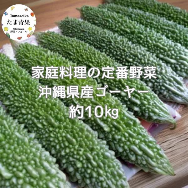 定番中の定番沖縄料理と言えば「ゴーヤーチャンプルー」というほど、沖縄県民はもとより県外の人にとってもポピュラーな料理に欠かすことのできない食材が「ゴーヤー」。ゴーヤーにはコラーゲンの生成に欠かせないビタミンＣが、100g中に76mgも含まれ...