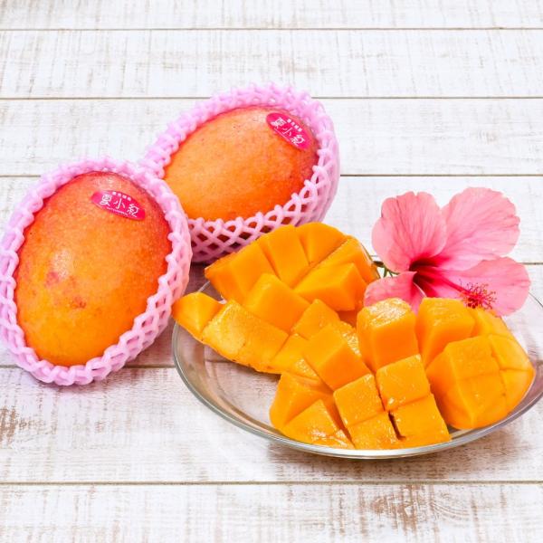夏小紅マンゴー 約2kg（4〜8個） 発送7月下旬〜9月 新種稀少マンゴー