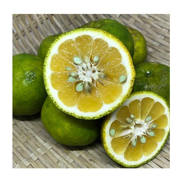 タルガヨー 約3kg 沖縄県産 : 沖縄市場たま青果 - 通販 - Yahoo