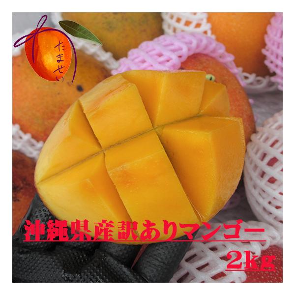 沖縄県産 マンゴーの人気商品・通販・