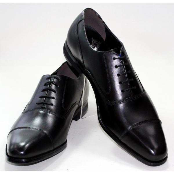 madras（マドラス） マドラス社製品 正価18,700円 PERRY COLLECTION
