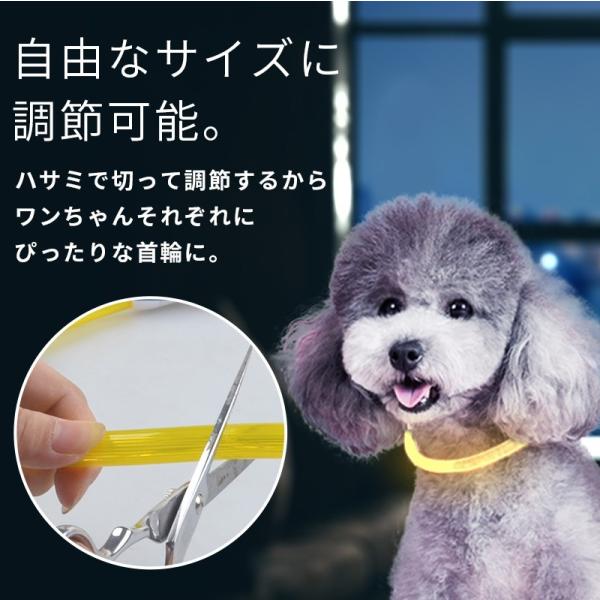 犬 首輪 光る Ledライト 充電 ペット用品 猫 首輪 犬 光る おしゃれ 猫 Ledライト Usb充電式 ペット 小型犬 中型犬 大型犬 35cm 50cm 70cm ペット用品 ドッググッズ 安全 代購幫