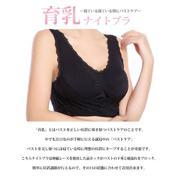 ナイトブラ 育乳ブラ バストアップ 大きくなる ノンワイヤー ブラジャー 40代 50代 下着 補正ブラ 矯正 美胸 おやすみブラ 夜用 Buyee Buyee 提供一站式最全面最專業現地yahoo Japan拍賣代bid代拍代購服務 Bot Online