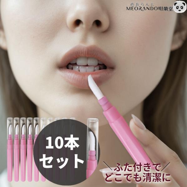 抗菌設計♪ふたつきブラシ10本セット ポーチ持ち運び便利 旅行用 プロ仕様 再利用可能