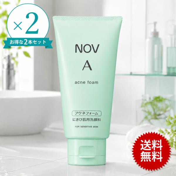 【2個セット】NOV ノブ A アクネフォーム 70g 常盤薬品工業 国内正規品 洗顔フォーム 洗顔料 医薬部外品