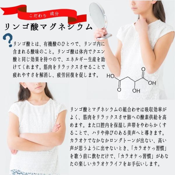 リンゴ酸マグネシウム カラオケ習慣 サプリメント 声帯 サプリ 送料無料 30粒入 カラオケ いびき 忘年会 新年会 ギフト ポイント消化 父の日 Buyee Buyee 日本の通販商品 オークションの代理入札 代理購入