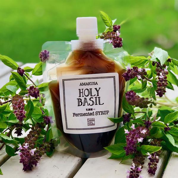 ホーリーバジル酵素シロップ2ml 無添加 ハーブ 濃縮 希釈 黒糖 乳酸菌 授乳中 営業 炭酸水 プレゼント プチギフト 朝活 割り