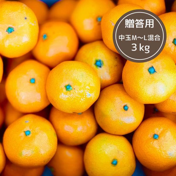 贈答用 塩屋みかん 3kg M Lサイズ 熊本みかん 熊本 産地直送 光センサー ミカン くまモン 箱買い 熊本県産 3キロ 蜜柑 ポイント消化 Buyee Buyee 提供一站式最全面最專業現地yahoo Japan拍賣代bid代拍代購服務 Bot Online