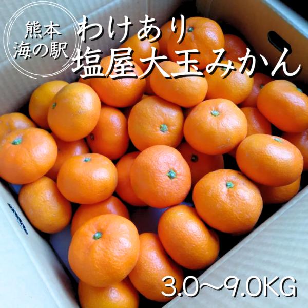 熊本 海の駅しおや 大玉みかん 訳あり】3キロ 5キロ 9キロ 家庭用 訳