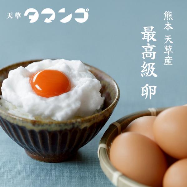 天草 タマンゴ 10個入り】メディア話題の高級卵｜マンゴー100％飼料で