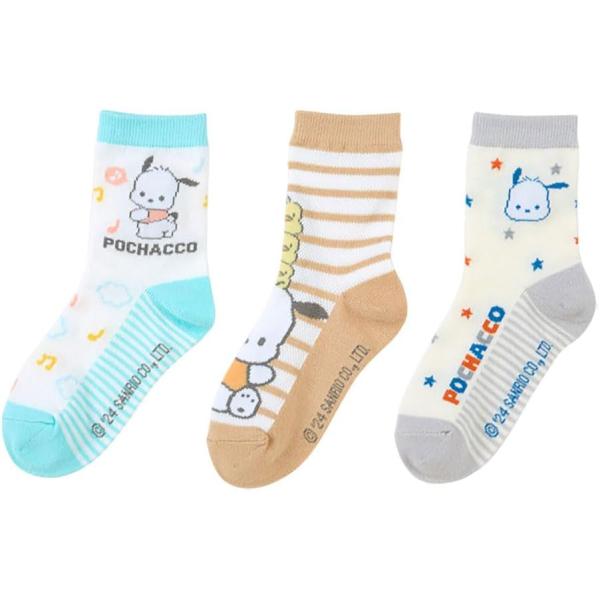 他サイト： サンリオ SANRIO キッズソックス3足セット 靴下 13-15cm ポチャッコ pochacco 子供 456268の商品画像